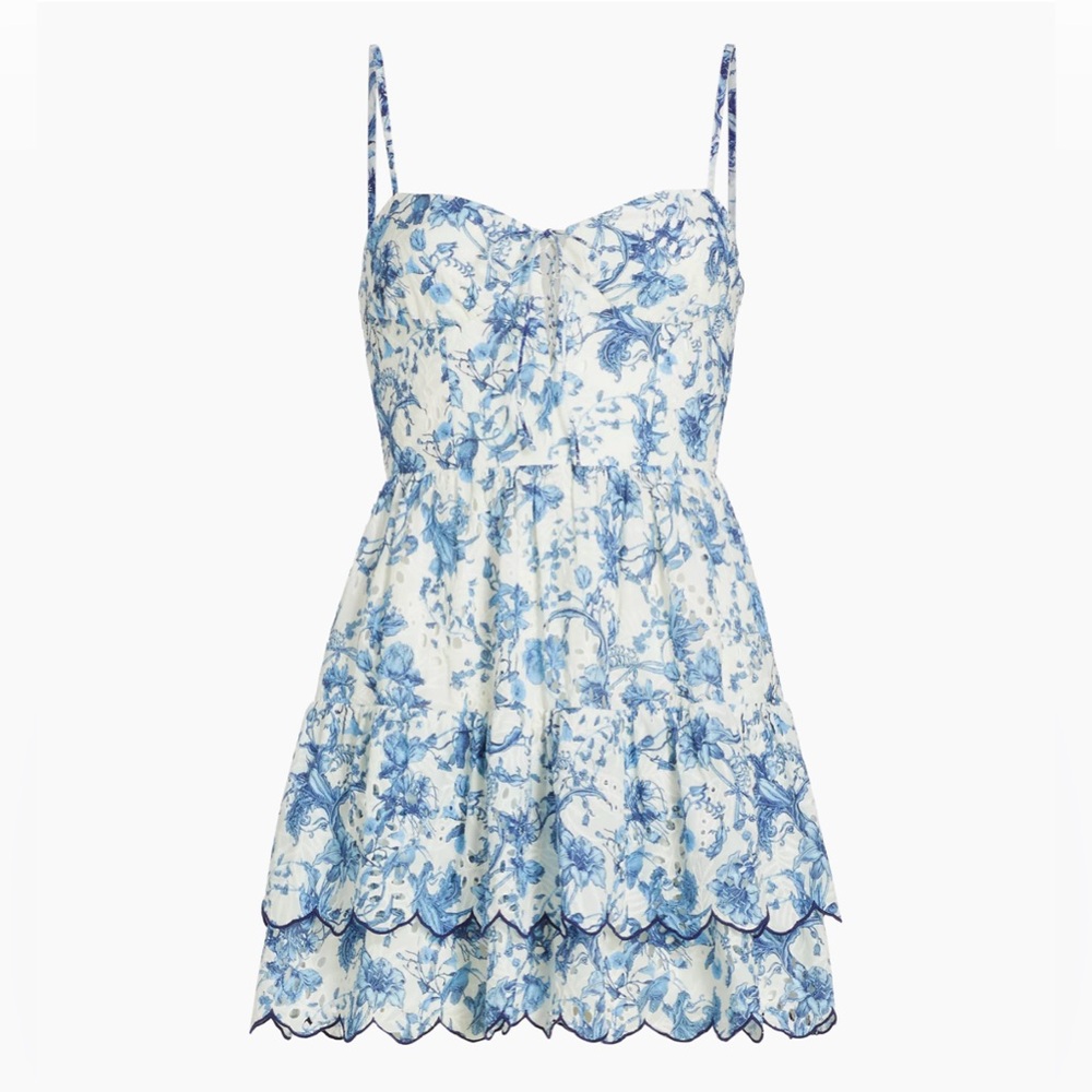 Alice & Olivia Daisy Floral Eyelet Minidress